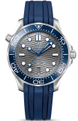 Наручные часы Omega SEAMASTER DIVER 300M CO-AXIAL  21032422006001 21030422006001